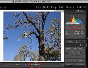 Adobe Photoshop Lightroom 4 Review