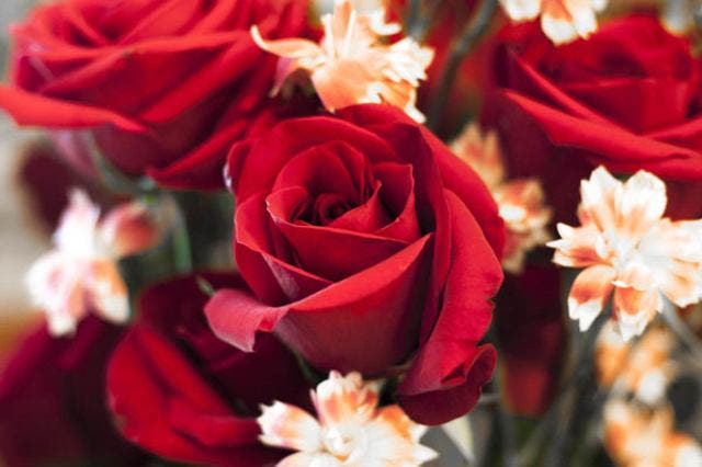 03-Florals-f2.8-10-bokeh.jpg