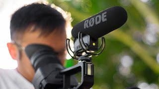 shotgun microphone