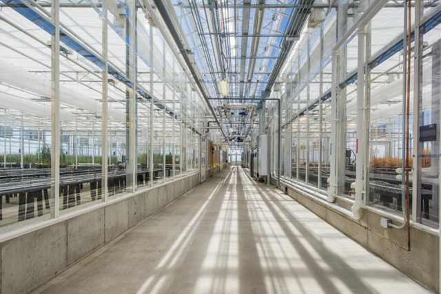 Description: Agriculture Photography