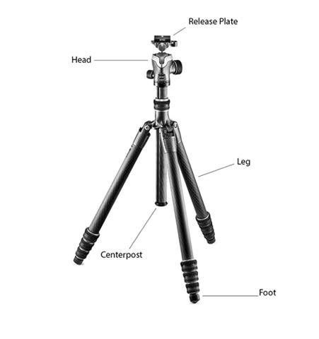 Tripod Diagram