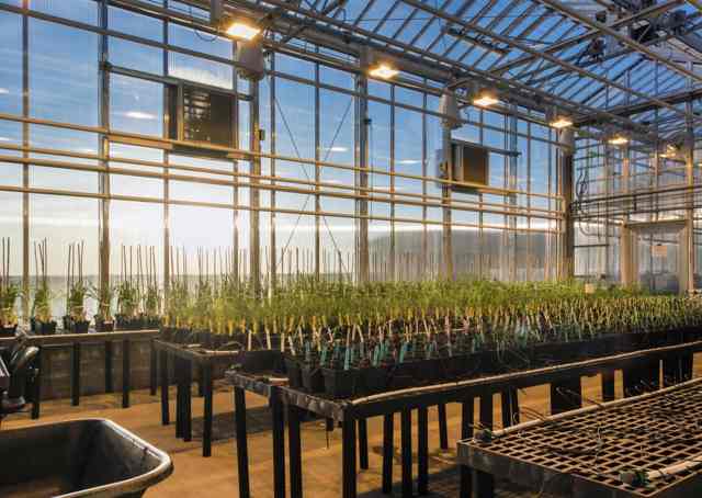 Description: Agriculture Photography