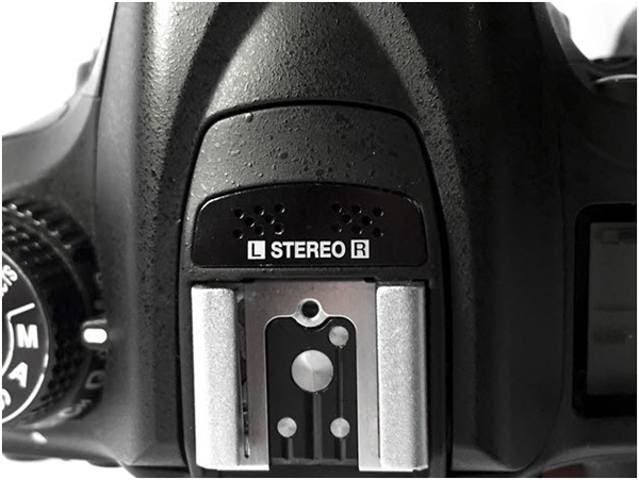 Nikon-D7100-09.jpg