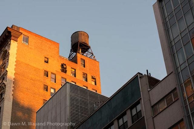 Nikon-D7100-47.jpg