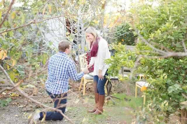 Proposal photo