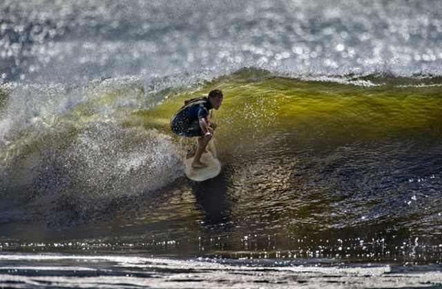 Photo: Andreea Waters