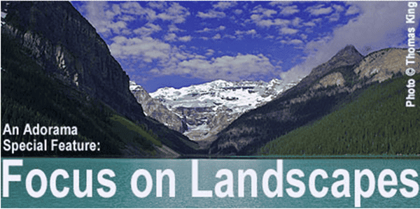 focus on land.png