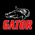 Gator Cases