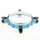 Chimera : Picture 1 regular