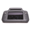 Parrot : Picture 1 regular