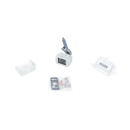 Rosco : Picture 1 regular