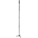 3 Legged Thing Trent 2.0 4-Section Punks Magnesium Alloy Monopod Kit, Gray
