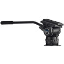 Acebil CH7(F): Picture 1 regular