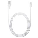 Apple Lightning to USB Cable - 2m (6.56')