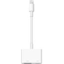 Apple : Picture 1 regular