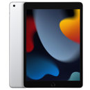 Apple : Picture 1 regular