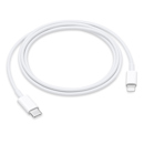 Apple : Picture 1 regular