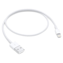 Apple : Picture 1 regular