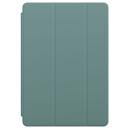 Apple Smart Cover for iPad 7th Gen and iPad Air 3rd Gen, Cactus