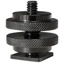 Aladdin : Picture 1 regular