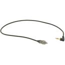 Ambient Recording : Picture 1 regular