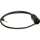 Ambient Recording : Picture 1 regular