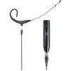 Audio-Technica BP892x Omnidirectional Condenser Headworn Microphone with 55" Detachable Cable, -43 dB Sensitivity, Black Black