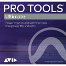Avid : Picture 1 regular