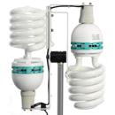 Alzo Digital CFL Bulb: Picture 1 regular