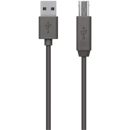 Belkin USB-A to USB-B: Picture 1 regular