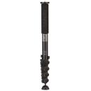 Benro AL Monopod Kit: Picture 1 regular