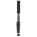 Benro 8X CF Monopod Kit: Picture 1 regular