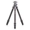 Benro Tortoise Columnless Two Series 4-Section Carbon Fiber Tripod with GX30 Ball Head Carbon Fiber