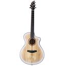 Breedlove Oregon Concert: Picture 1 regular