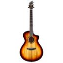 Breedlove Oregon Concert: Picture 1 regular