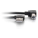 C2G : Picture 1 regular