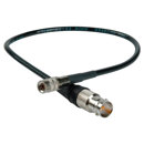 Canare : Picture 1 regular