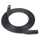 Canare : Picture 1 regular