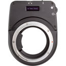 Cambo : Picture 1 regular