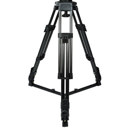 Cartoni H603: Picture 1 regular