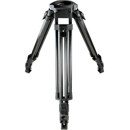 Cartoni H604: Picture 1 regular