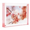 Canetti Color Edge Magnet Frame, 4x6", Rose Rose