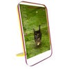 Canetti Colorful Magnet Frame Purple/Yellow