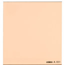 Cokin 85 Warming Filter: Picture 1 regular