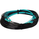 Camplex : Picture 1 regular