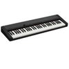 Casio Casiotone CT-S1 61-Key Piano Style Portable Keyboard, Black Black