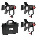 Came-TV B-30 Kit: Picture 1 regular