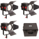 Came-TV Boltzen Fresnel Light Kit: Picture 1 regular