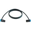Cable Techniques Premium Low Profile Right-Angle XLR-3F to XLR-3M Mogami W2893 Microphone Cable Blue Caps