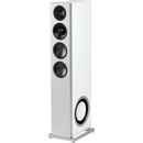 Definitive Technology Demand D17 Right: Picture 1 regular